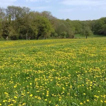 Maison Authentique En Normandie - Fr-1-497-160 Σπίτι διακοπών *