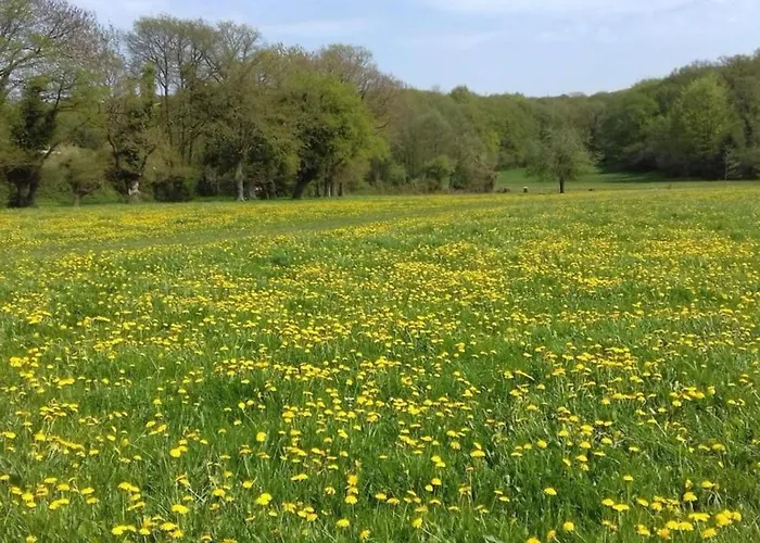Maison Authentique En Normandie - Fr-1-497-160 Vakantiehuis *