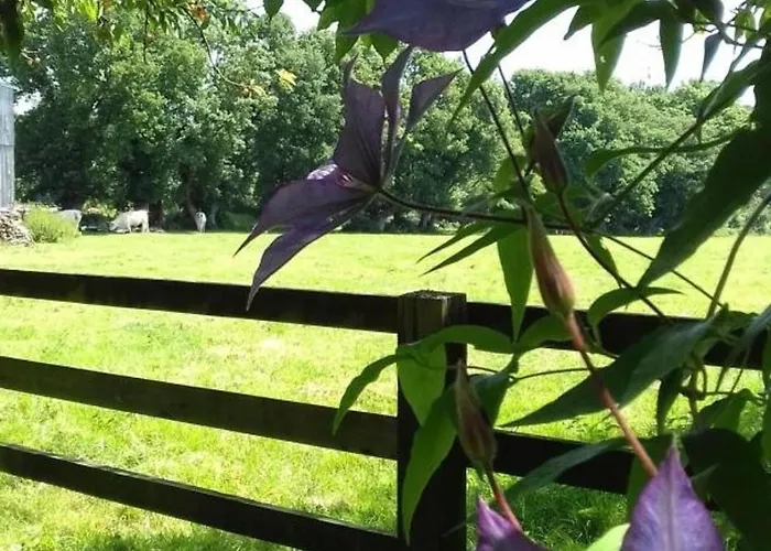 Vakantiehuis Maison Authentique En Normandie - Fr-1-497-160 *