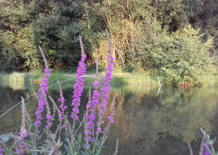 Maison Authentique En Normandie - Fr-1-497-160 Vakantiehuis Nécy